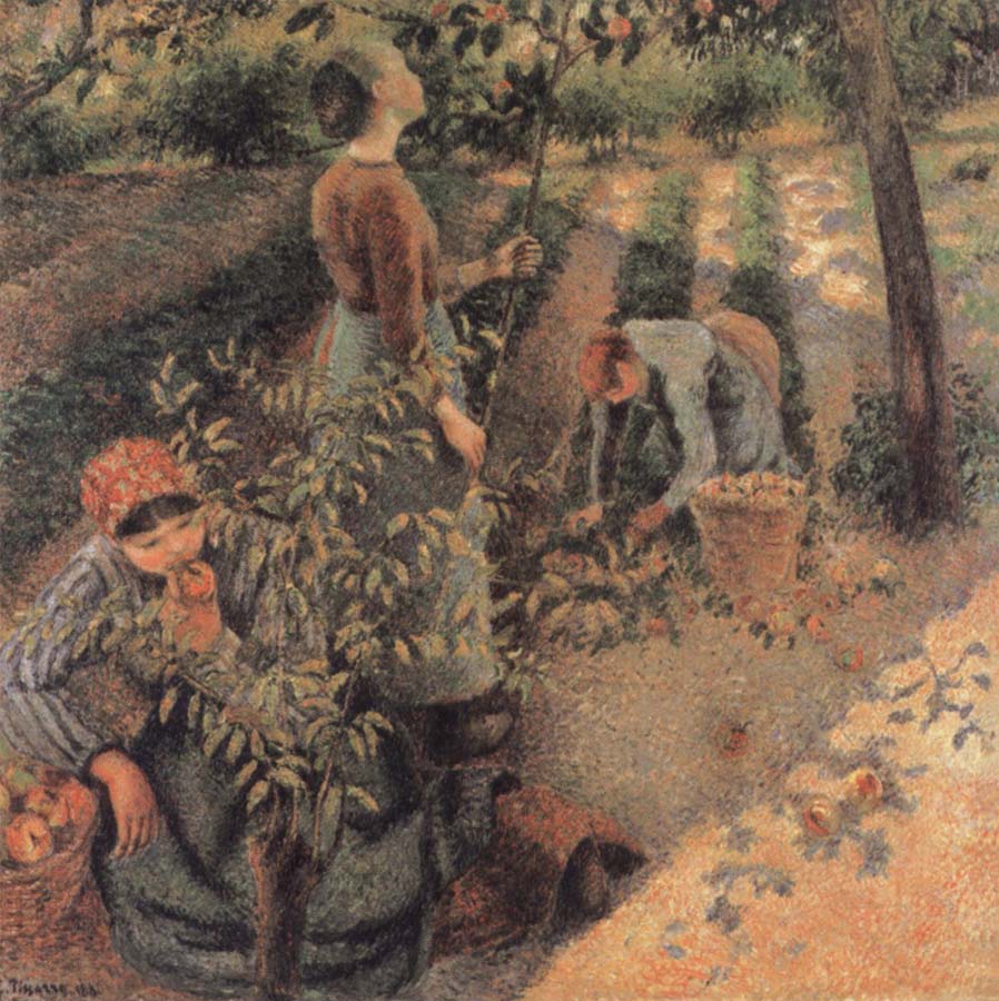 Camille Pissarro The Apple Pickers